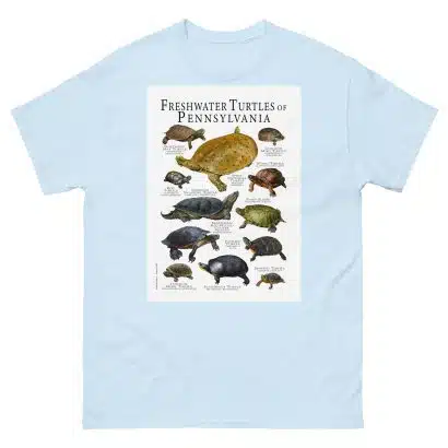Freshwater Turtles of Pennsylvania - Men's classic tee - Image 10