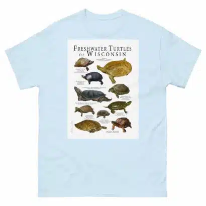 Freshwater Turtles of Wisconsin - Men's classic tee - Image 10