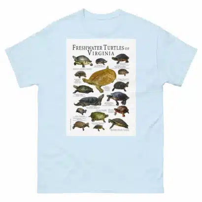 Freshwater Turtles of Virginia - Men's classic tee - Image 10