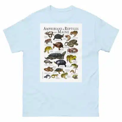 Amphibians & Reptiles of Maine - Men's classic tee - Image 10
