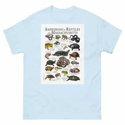 Amphibians & Reptiles of Massachusetts - Men's classic tee - Image 10