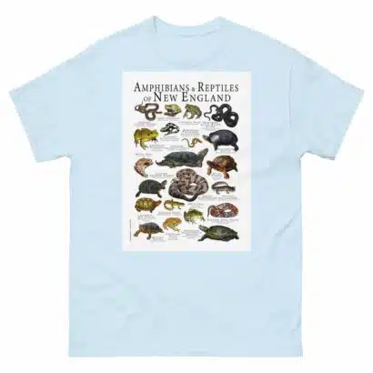 Amphibians & Reptiles of New England - Men's classic tee - Image 10
