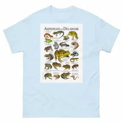 Amphibians of Delaware - Men's classic tee - Image 10