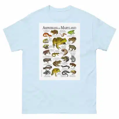 Amphibians of Maryland - Men's classic tee - Image 10