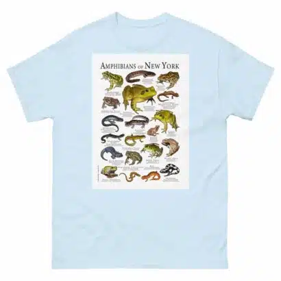 Amphibians of New York - Men's classic tee - Image 10