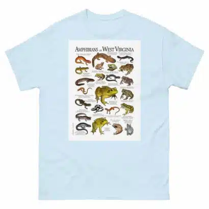 Amphibians of West Virginia - Men's classic tee - Image 10