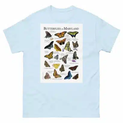 Butterflies of Maryland - Men's classic tee - Image 10