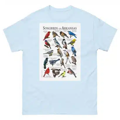 Songbirds of Arkansas Men's classic tee - Image 10