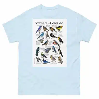 Songbirds of Colorado - Men's classic tee - Image 10