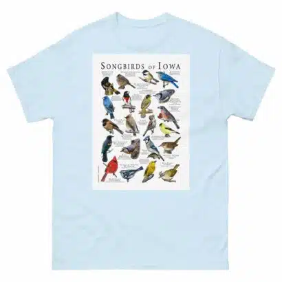 Songbirds of Iowa - Men's classic tee - Image 10