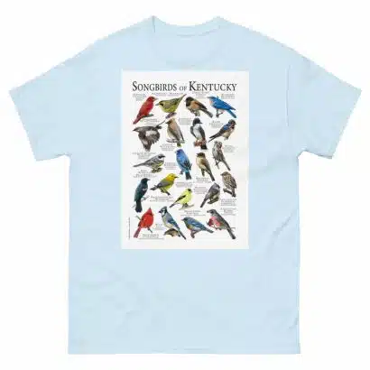 Songbirds of Kentucky- Men's classic tee - Image 10