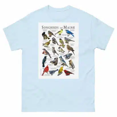 Songbirds of Maine - Men's classic tee - Image 10