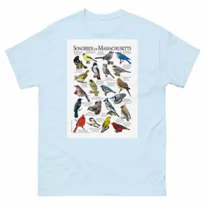 Songbirds of Massachusetts - Men's classic tee - Image 10