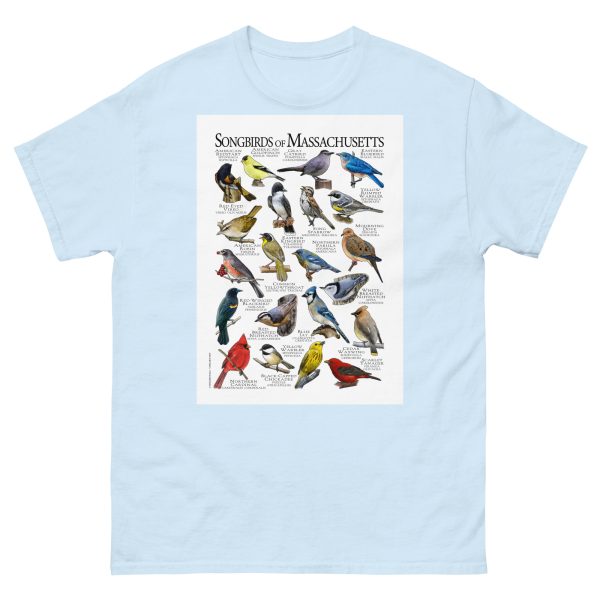 Songbirds of Massachusetts - Men's classic tee - Image 10