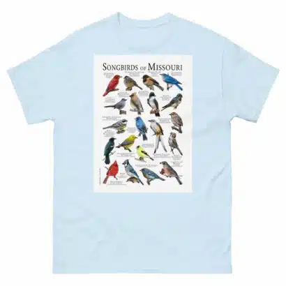 Songbirds of Missouri - Men's classic tee - Image 10