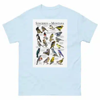 Songbirds of Montana - Men's classic tee - Image 10