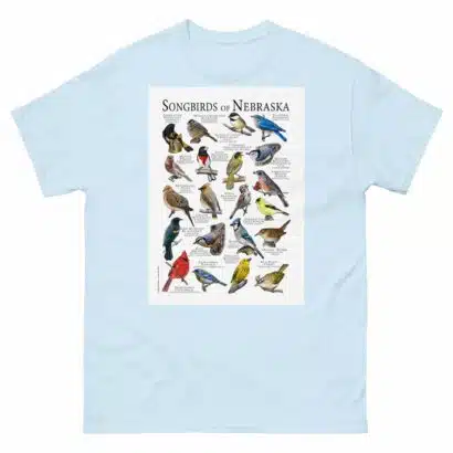 Songbirds of Nebraska - Men's classic tee - Image 10