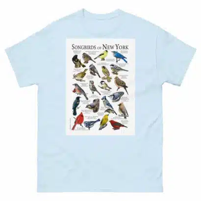 Songbirds of New York - Men's classic tee - Image 10