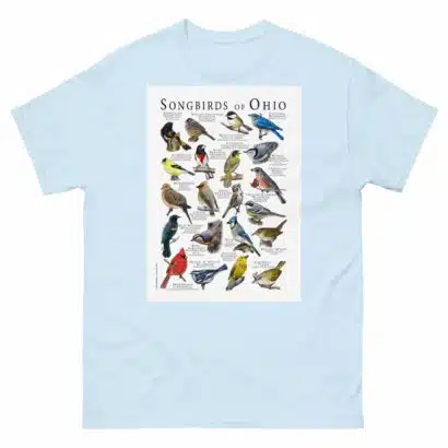 Songbirds of Ohio - Men's classic tee - Image 10
