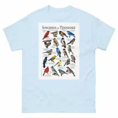 Songbirds of Tennessee - Men's classic tee - Image 10