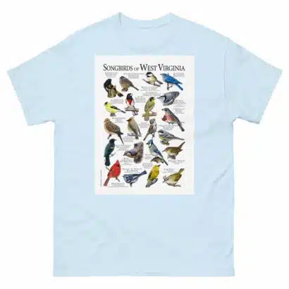 Songbirds of West Virginia - Men's classic tee - Image 10