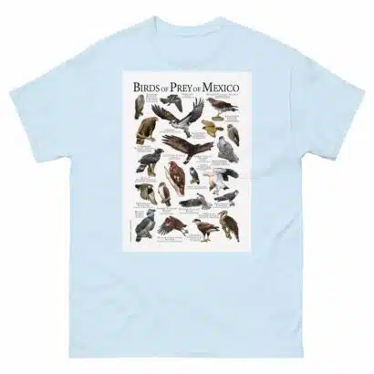 Birds of Prey of Mexico - Men's classic tee - Image 10