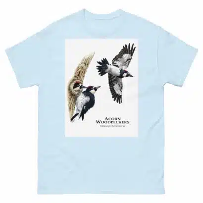 Acorn Woodpeckers - Men's classic tee - Image 10