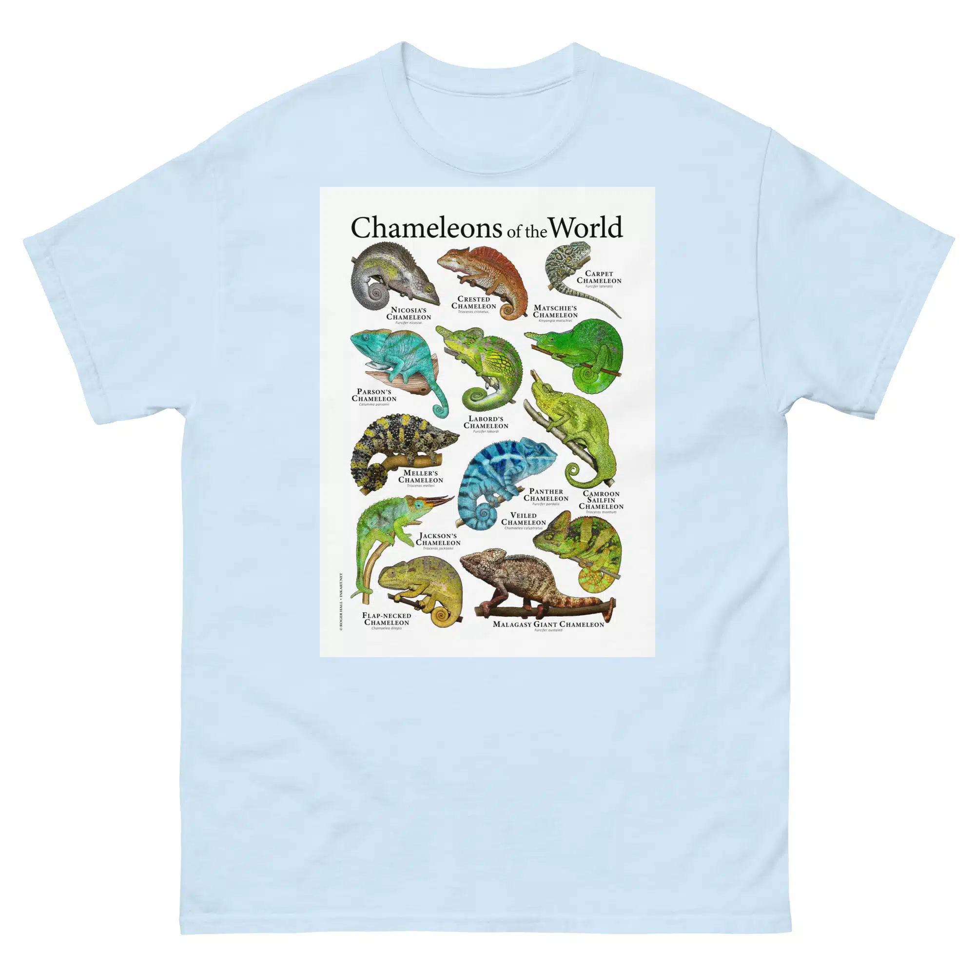 Chameleons of the World - Men's classic tee