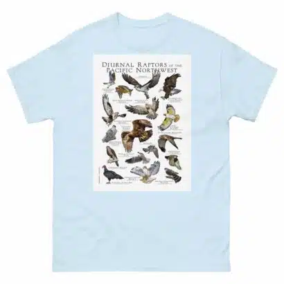 Diurnal Raptors of the Pacific Northwest - Men's classic tee - Image 10