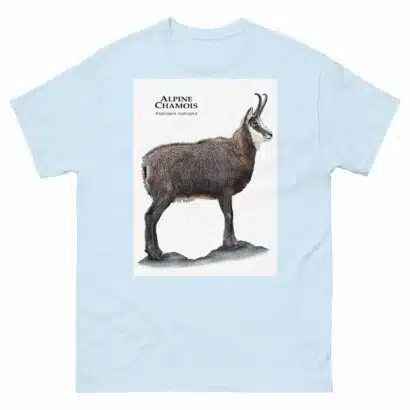 Alpine Chamois - Men's classic tee - Image 10