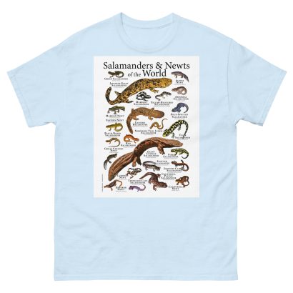Salamanders & Newts of the World - Men's classic tee - Image 10