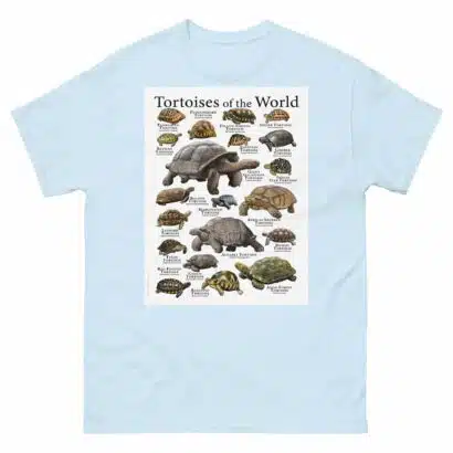 Tortoises of the World - Men's classic tee - Image 10