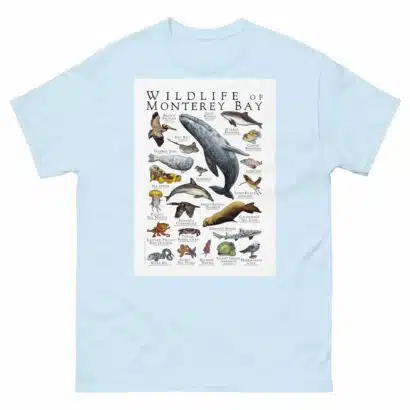 Wildlife of Monterey Bay - Men's classic tee - Image 10