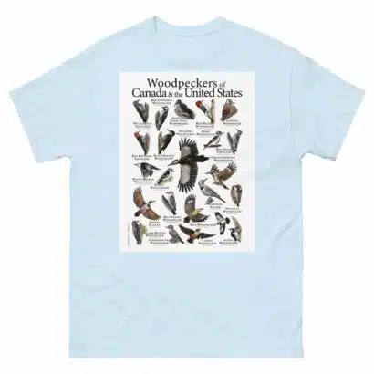 Woodpeckers of the USA & Canada Men's classic tee - Image 10