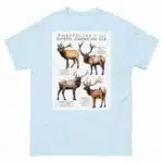 Subspecies of North American Elk - Men's classic tee - Image 10