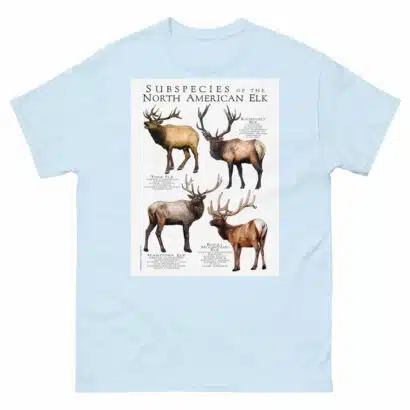 Subspecies of North American Elk - Men's classic tee - Image 10