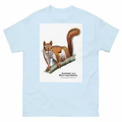 American Red Squirrel - Men's classic tee - Image 10