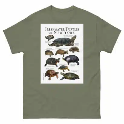 Freshwater Turtles of New York - Men's classic tee - Image 5