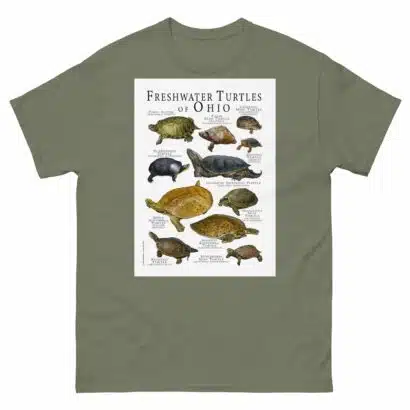 Freshwater Turtles of Ohio - Men's classic tee - Image 5