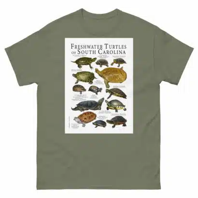 Freshwater Turtles of South Carolina - Men's classic tee - Image 5