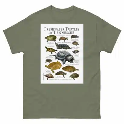 Freshwater Turtles of Tennessee - Men's classic tee - Image 5