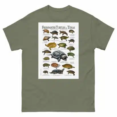 Freshwater Turtles of Texas - Men's classic tee - Image 5