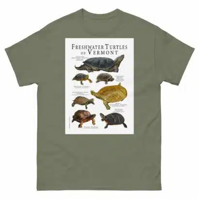 Freshwater Turtles of Vermont - Men's classic tee - Image 5