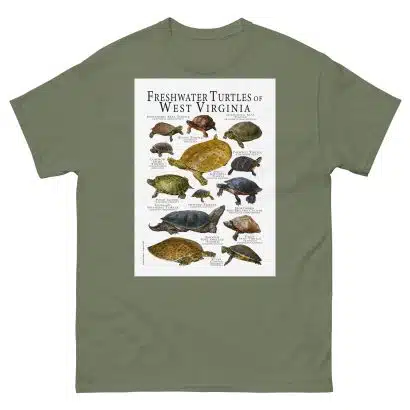 Freshwater Turtles of West Virginia - Men's classic tee - Image 5