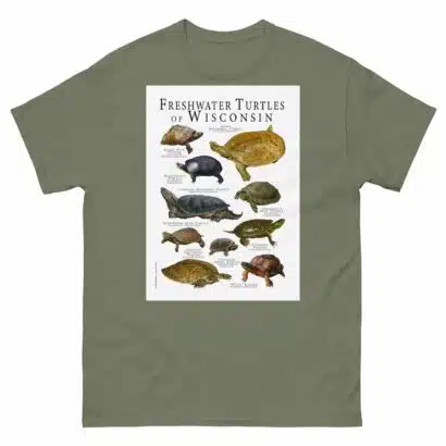 Freshwater Turtles of Wisconsin - Men's classic tee - Image 5