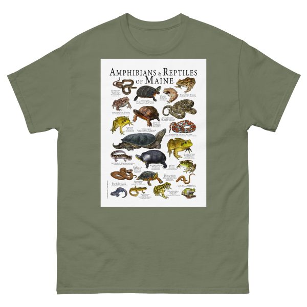 Amphibians & Reptiles of Maine - Men's classic tee - Image 5