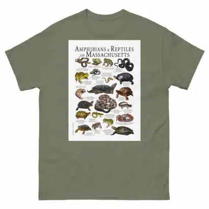 Amphibians & Reptiles of Massachusetts - Men's classic tee - Image 5