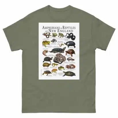 Amphibians & Reptiles of New England - Men's classic tee - Image 5