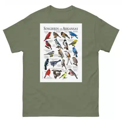 Songbirds of Arkansas Men's classic tee - Image 5