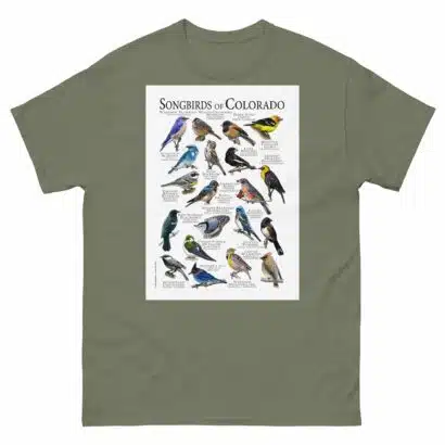Songbirds of Colorado - Men's classic tee - Image 5